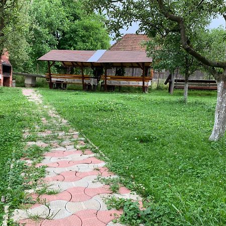 Vila Mogan Hotel Моечу де Жос Екстериор снимка