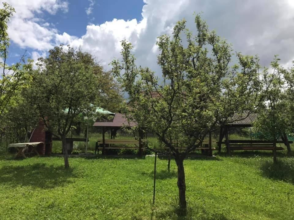 Vila Mogan Hotel Моечу де Жос Екстериор снимка
