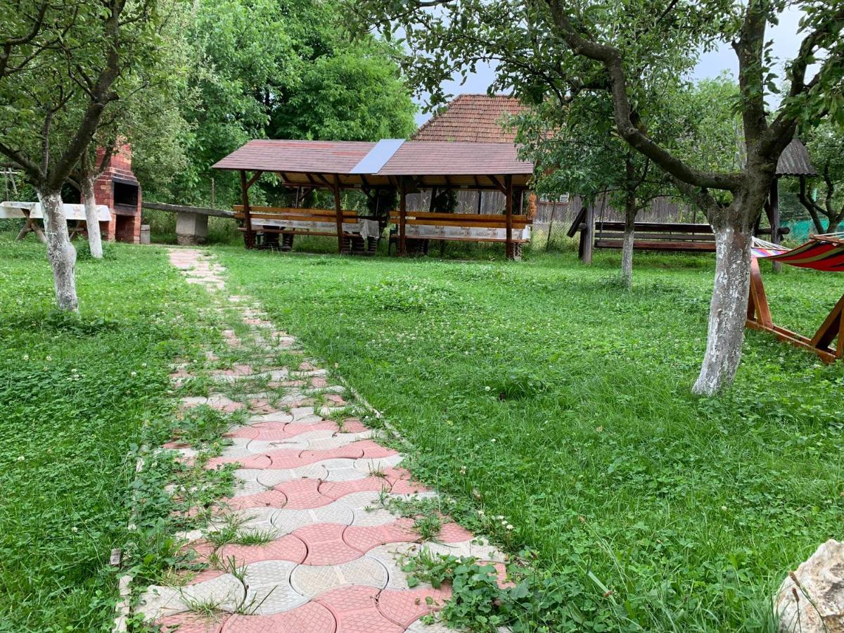 Vila Mogan Hotel Моечу де Жос Екстериор снимка