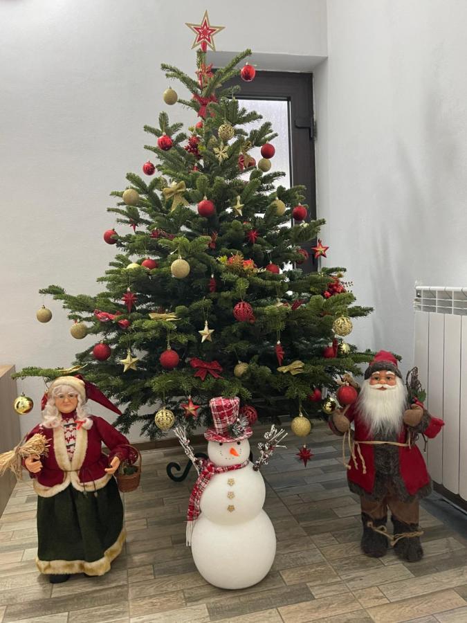 Vila Mogan Hotel Моечу де Жос Екстериор снимка
